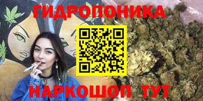 МДПВ Можга