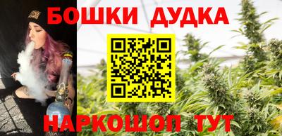 МДПВ Можга