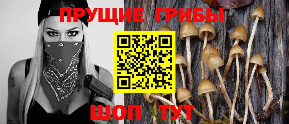 Великий Устюг  Галлюциногенные грибы прущие грибы  Вход с VPN 